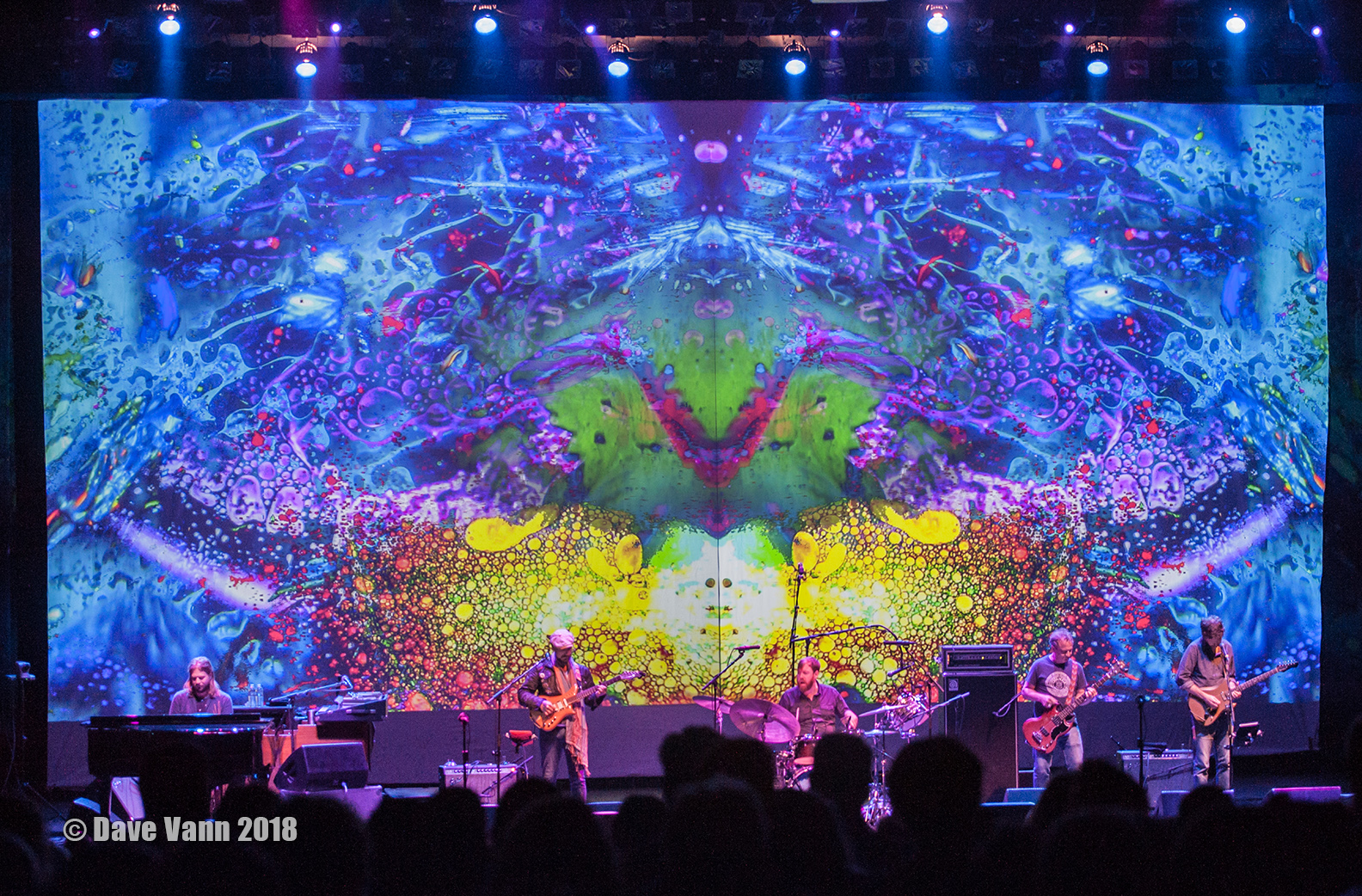 A Jrad Photo Gallery The Magic Of Liquid Light Heavy On The Jam